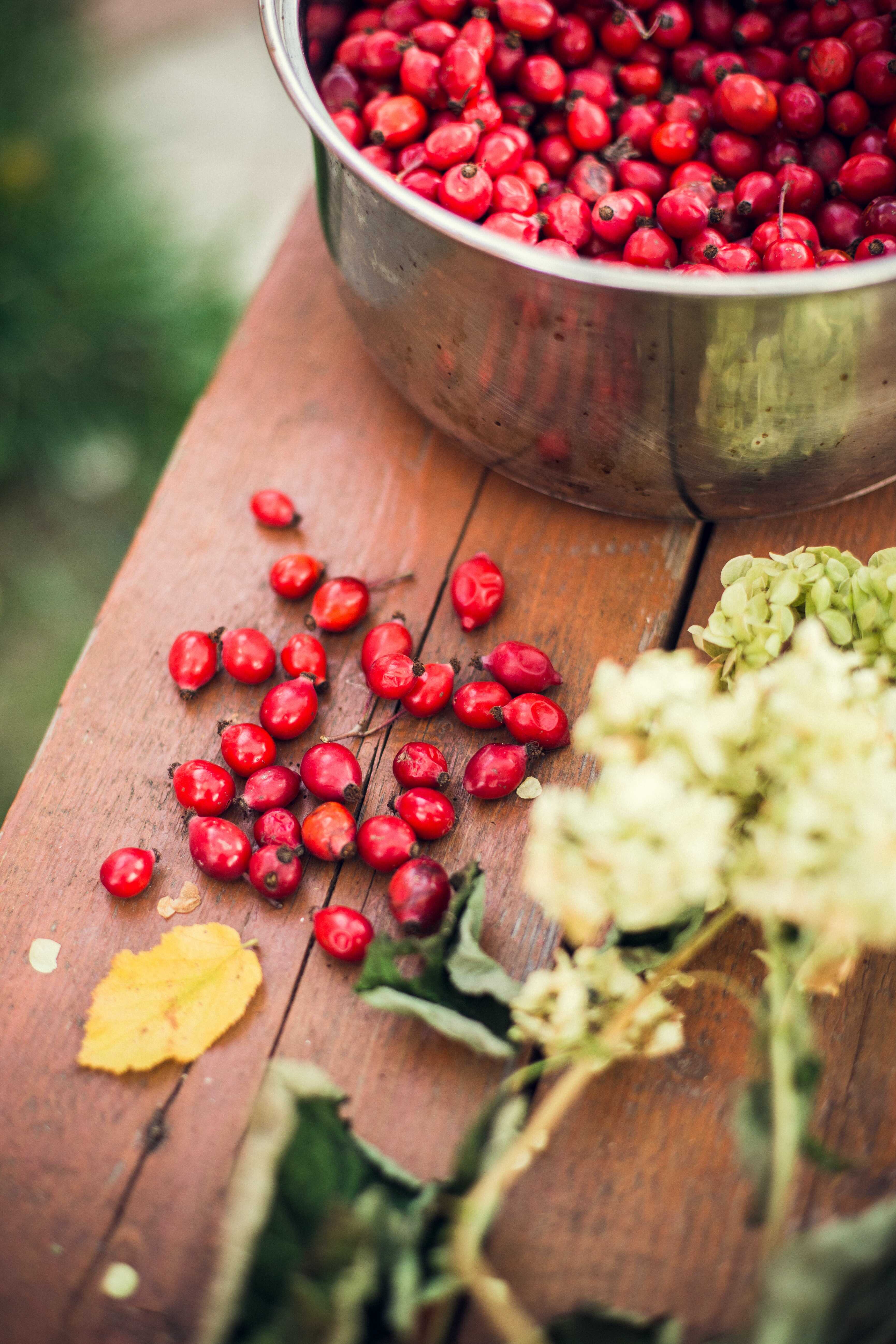 Rosa canina e piantaggine